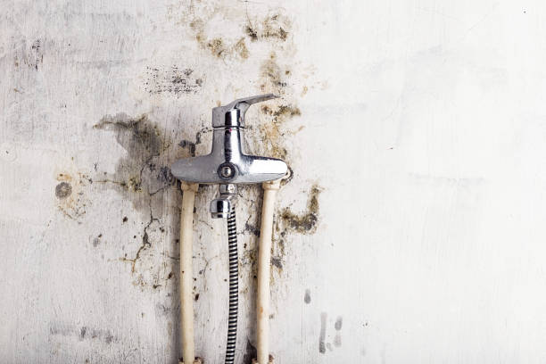 Best Residential Mold Remediation in Hokes Bluff, AL